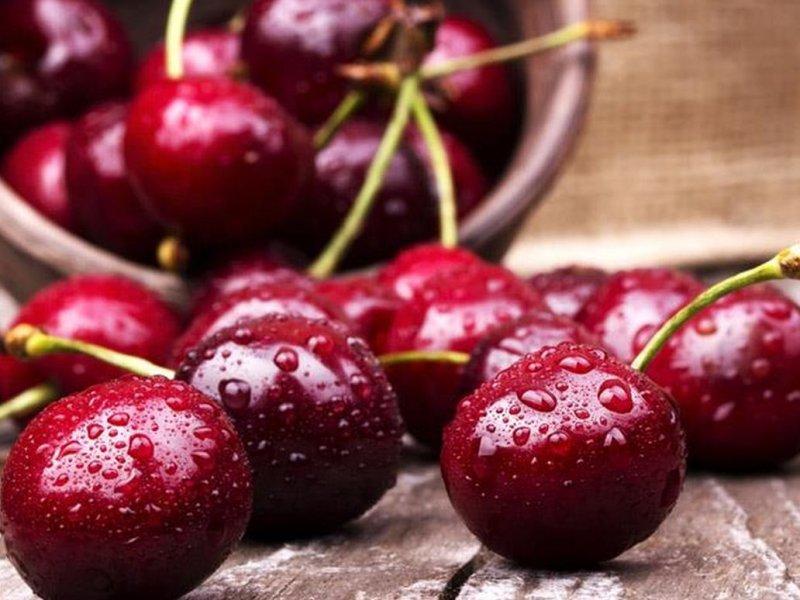 Вишня купить саженцы из питомника в Красногорске
